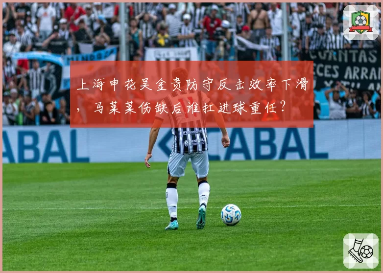 上海申花吴金贵防守反击效率下滑，马莱莱伤缺后谁扛进球重任？