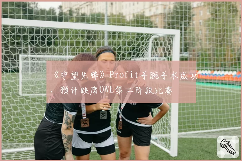 《守望先锋》Profit手腕手术成功,预计缺席OWL第二阶段比赛